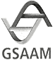 GSAAM